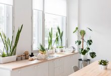 https://ru.freepik.com/free-photo/stylish-minimalistic-kitchen-with-plants_10143100.htm#fromView=search&page=1&position=20&uuid=8b9eae1f-4590-41eb-a87e-a9d4bf485e42