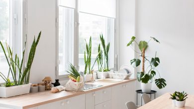 https://ru.freepik.com/free-photo/stylish-minimalistic-kitchen-with-plants_10143100.htm#fromView=search&page=1&position=20&uuid=8b9eae1f-4590-41eb-a87e-a9d4bf485e42