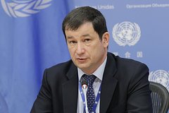 Дипломат рассказал о «бледных западниках» на заседании Совбеза ООН по Украине