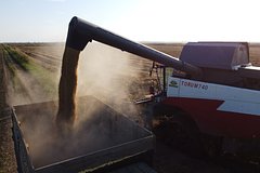 Россия попросила Казахстан снизить тарифы на перевозку зерна