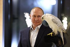 Путин поручил правительству продумать возможность газификации Камчатки