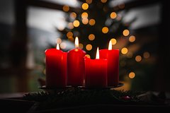 Немецкий депутат рассказал о планах греться в Рождество свечами на елке