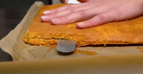 Ленивый медовик: рецепт простой и быстрый. Торт «Медовый Пенёк» за 30 минут