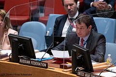 Полянский порассуждал о психике постпреда Украины в ООН