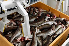 Норвегия усложнит жизнь российским рыболовам