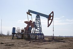 Польша подала заявку на закупку российской нефти по «Дружбе»