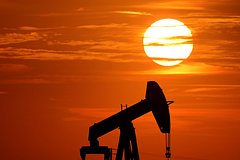 В России допустили нефтяные санкции против других стран ОПЕК+