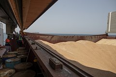 Белоруссия ввела временный запрет на вывоз зерновых