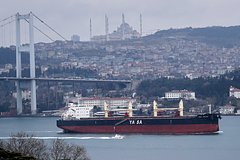 Остановку транзита санкционных товаров в Россию через Турцию объяснили